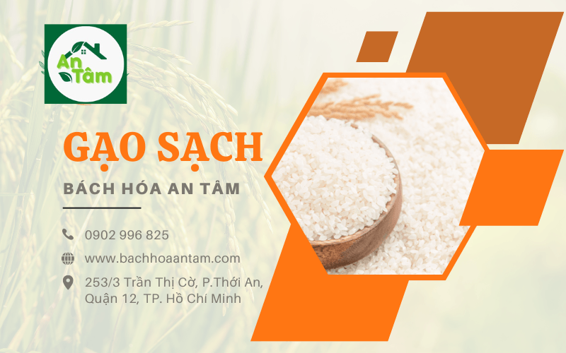 gạo sạch