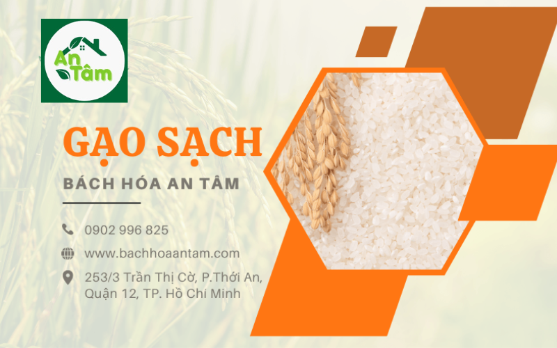 gạo sạch