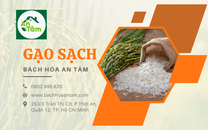 gạo sạch